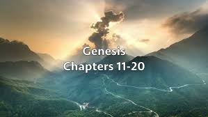 TOZAIN GENESIS 11 -20